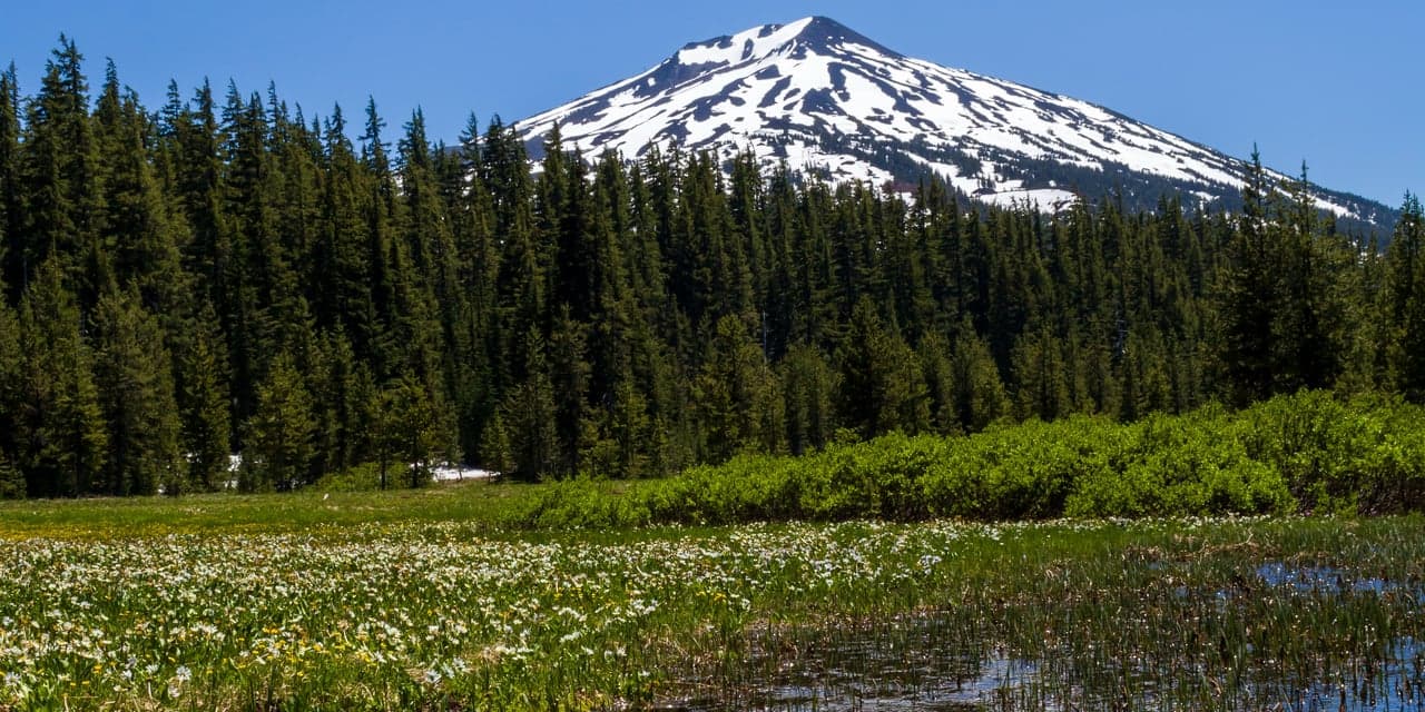 Spring at Sunriver