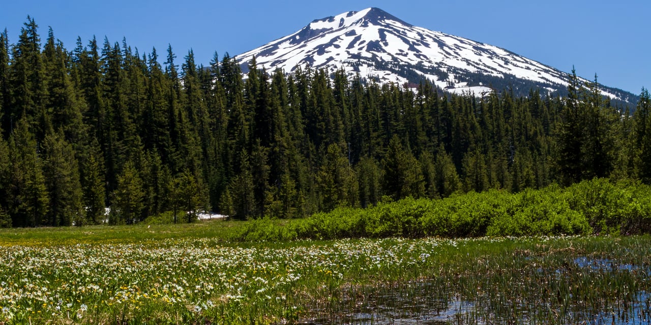 Spring at Sunriver